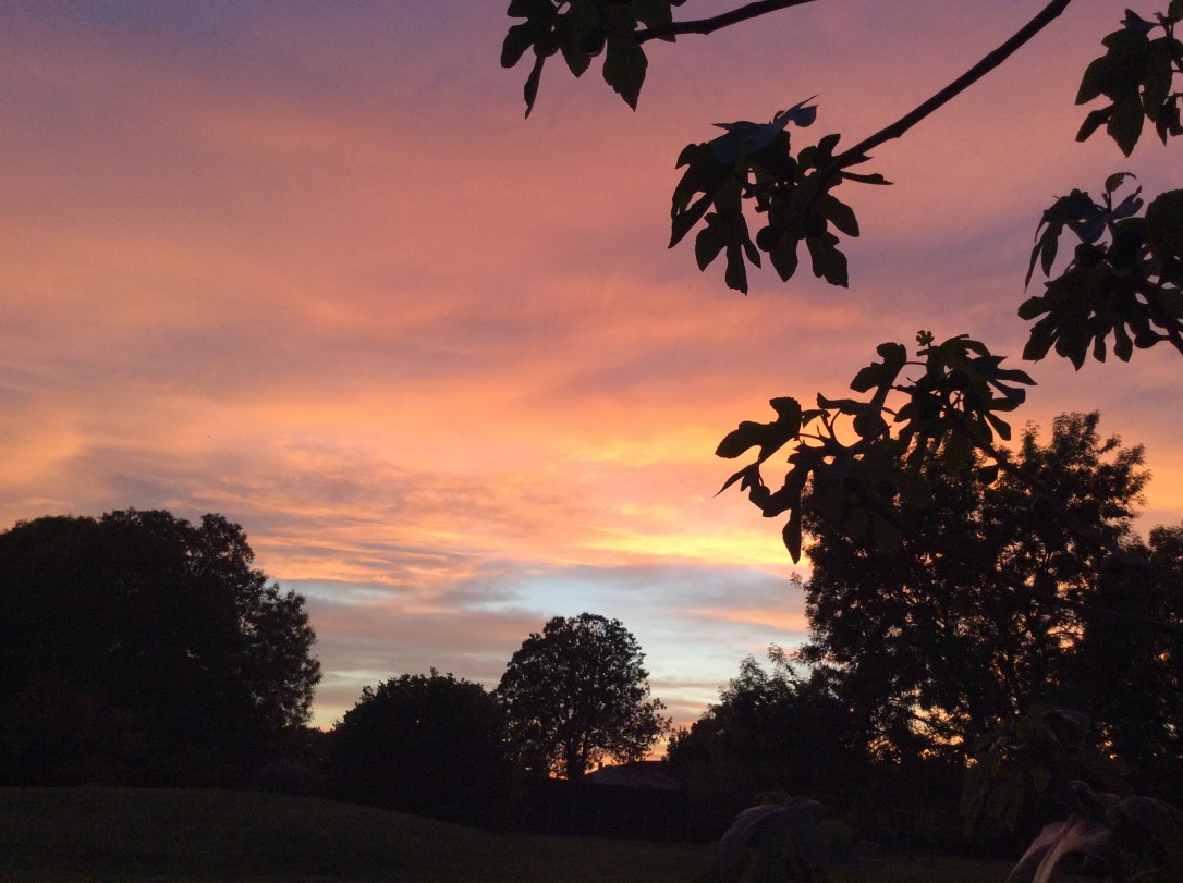 33F71587-6351-4FAF-9DBE-BD82F41BF784